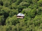 Black Wolf Treehouse setting Black Wolf Treehouse setting